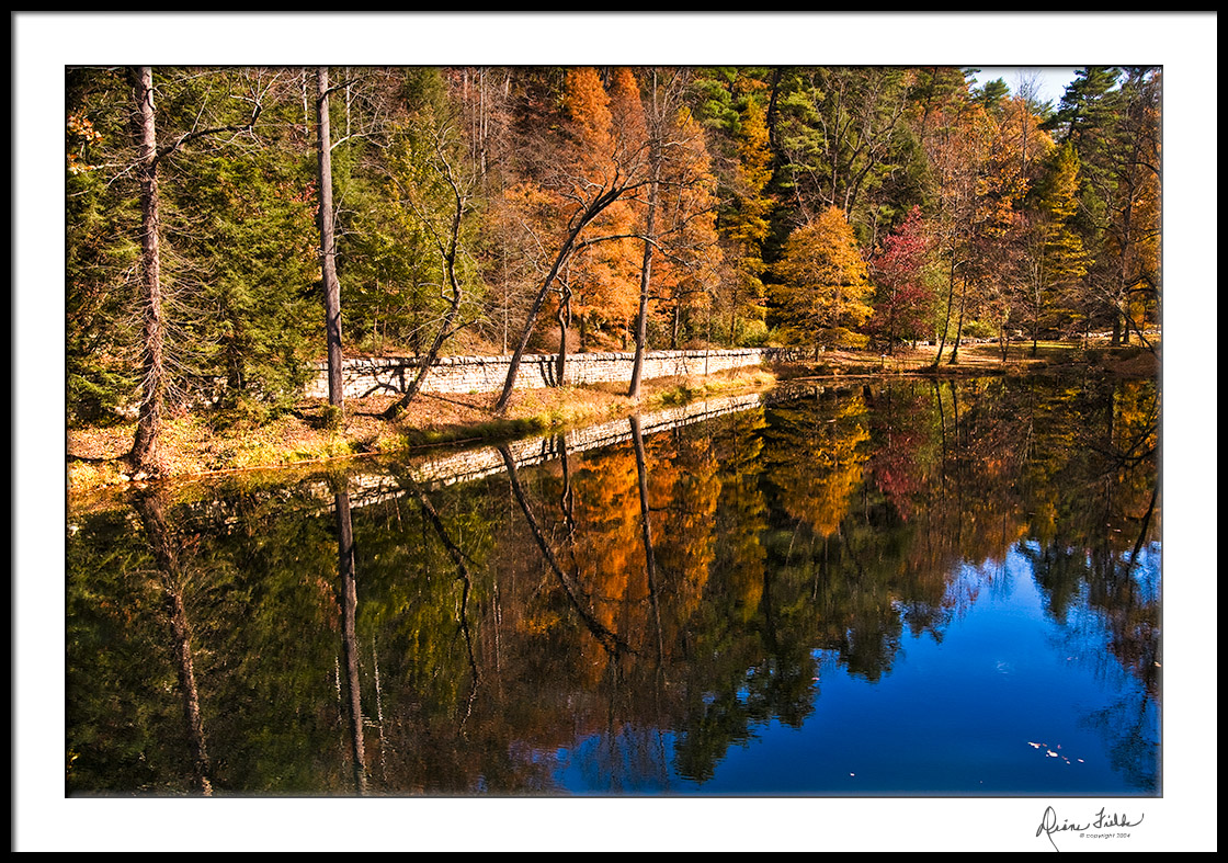 Bass Pond Cove