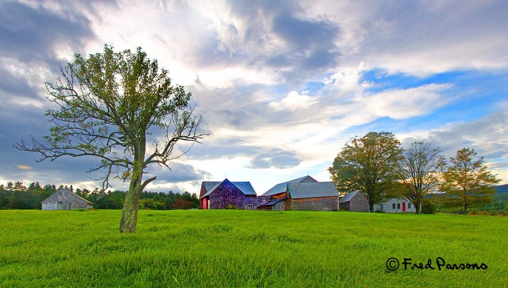 _MG_8852 Pano #4-Tree & Farm  
