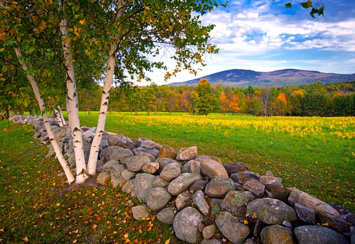 _MG_1727 Mt Kearsarge, Birch & Wall