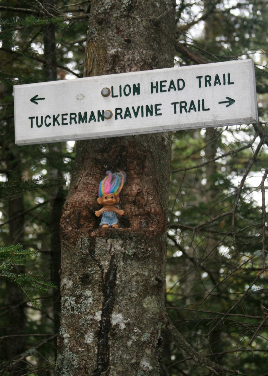 beware the tree troll