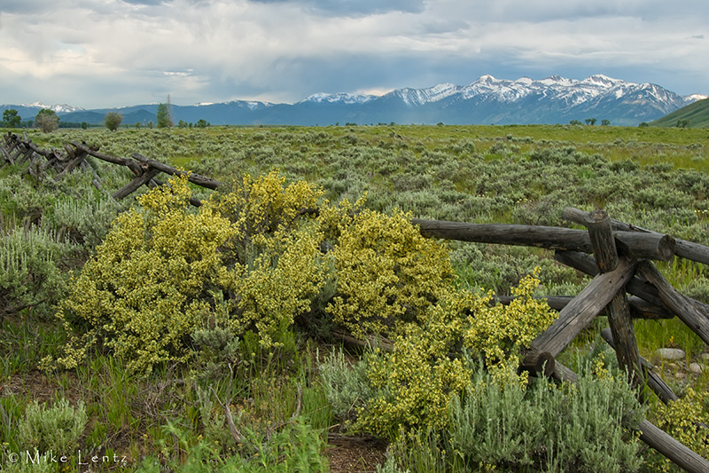 Antelope Flats Fenceline