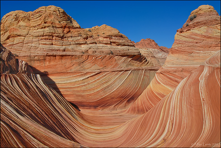 The Wave