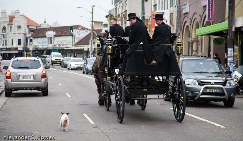 Funeral escort