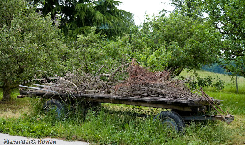 Wood cart in spring