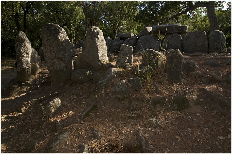 Dolmen de la Cova den Daina