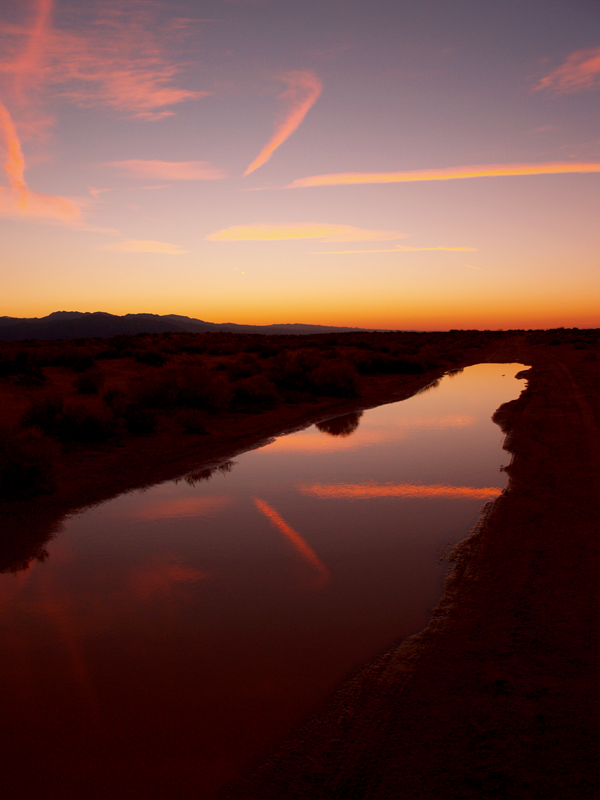 Newberry Springs puddle reflection.jpg