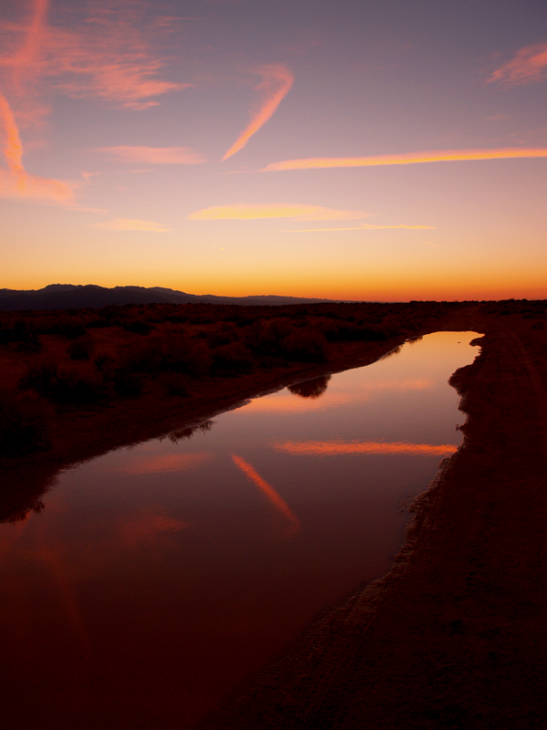 Newberry Springs puddle reflection.jpg