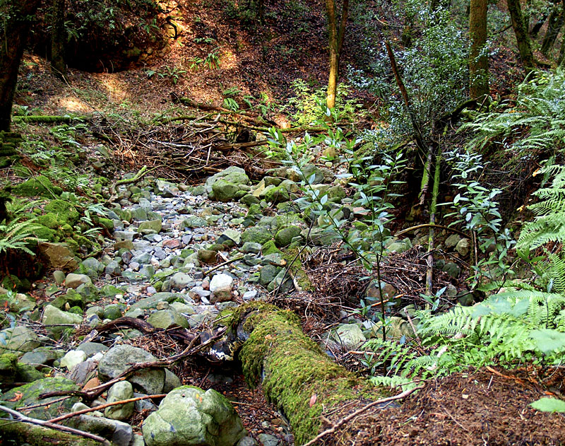 Frey Canyon creekbed