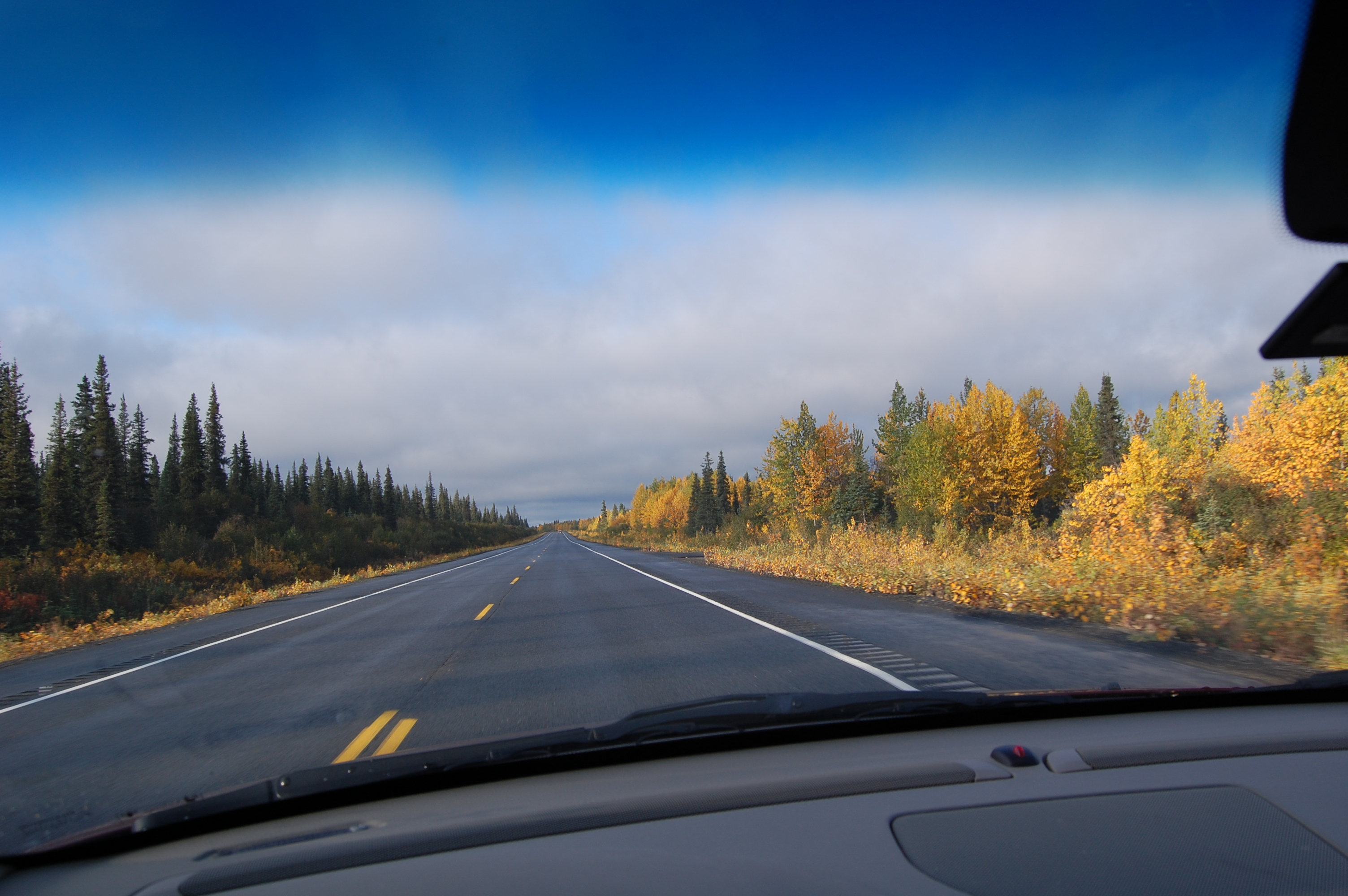 Fall Colors on the Parks Highway.JPG