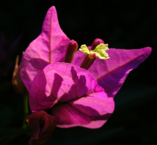 DSCN3780.JPG