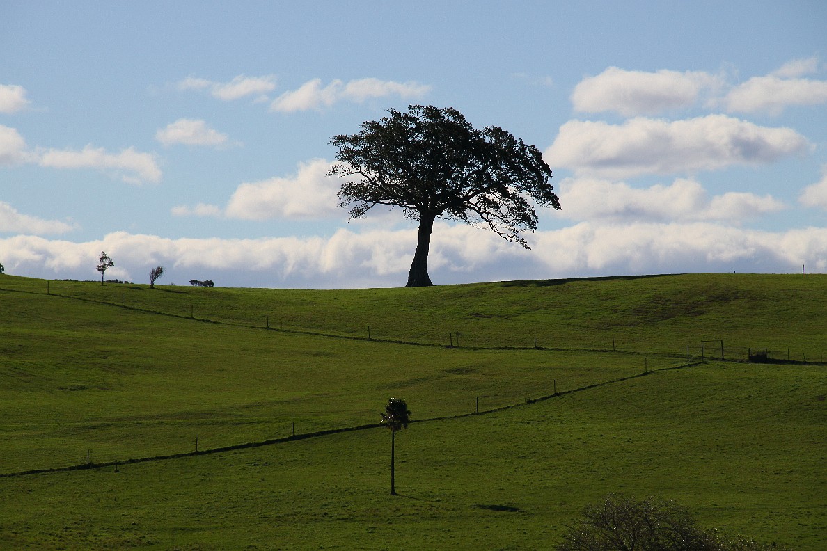 Minnamurra