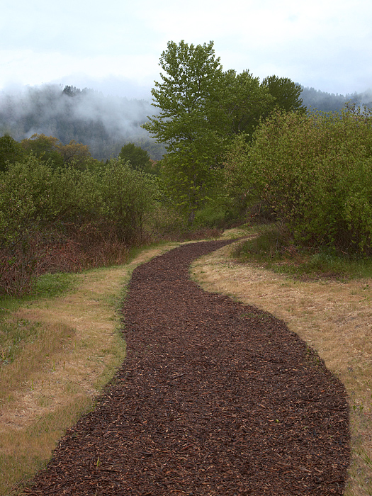 Pathway to the Clouds