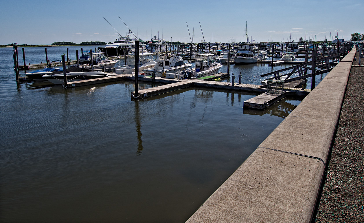 Cedar Island Marina