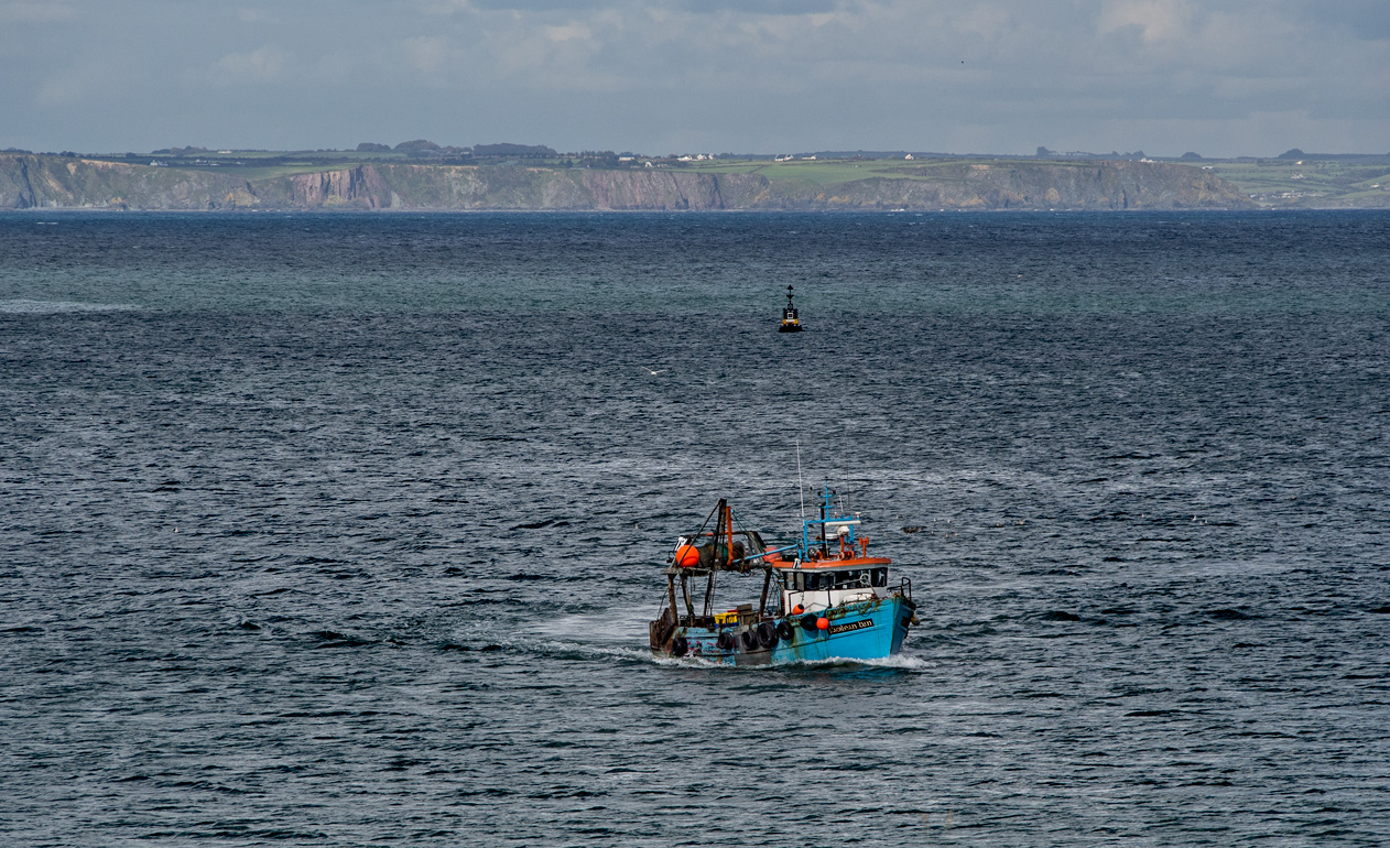 Faoilean Ban trawler coming in to Helvick Head Harbour