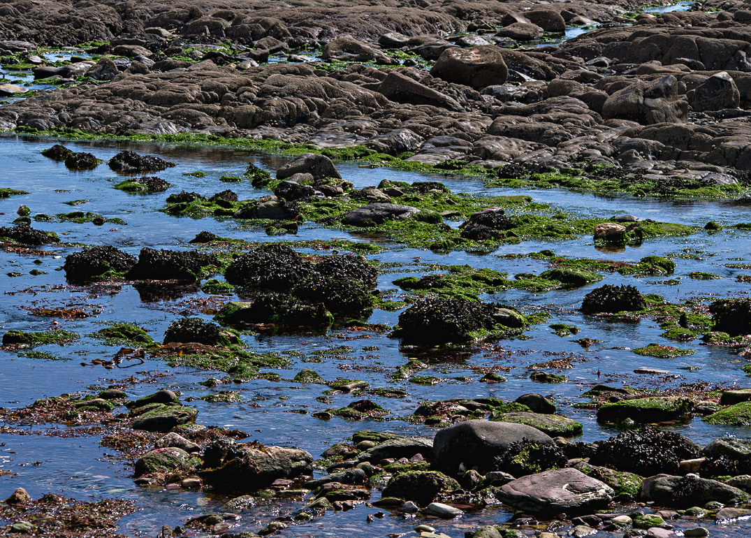 Ballyquin-East Beach