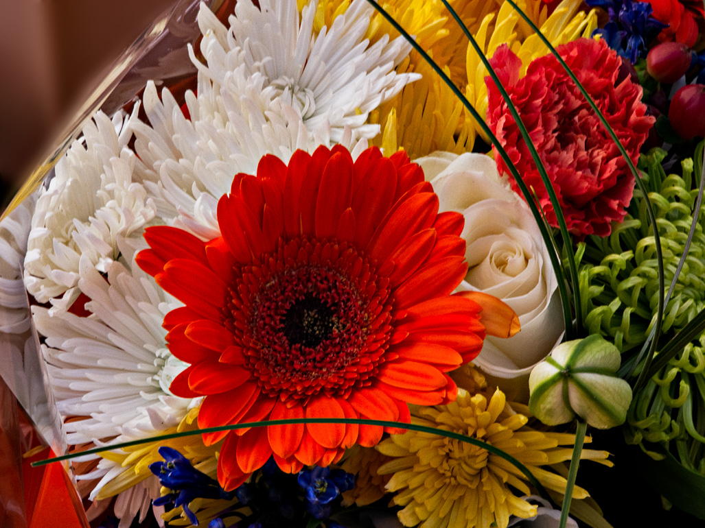 Grafton Street - From a Flower Stall