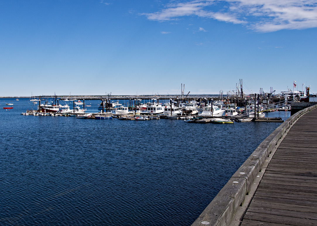 MacMillan Pier