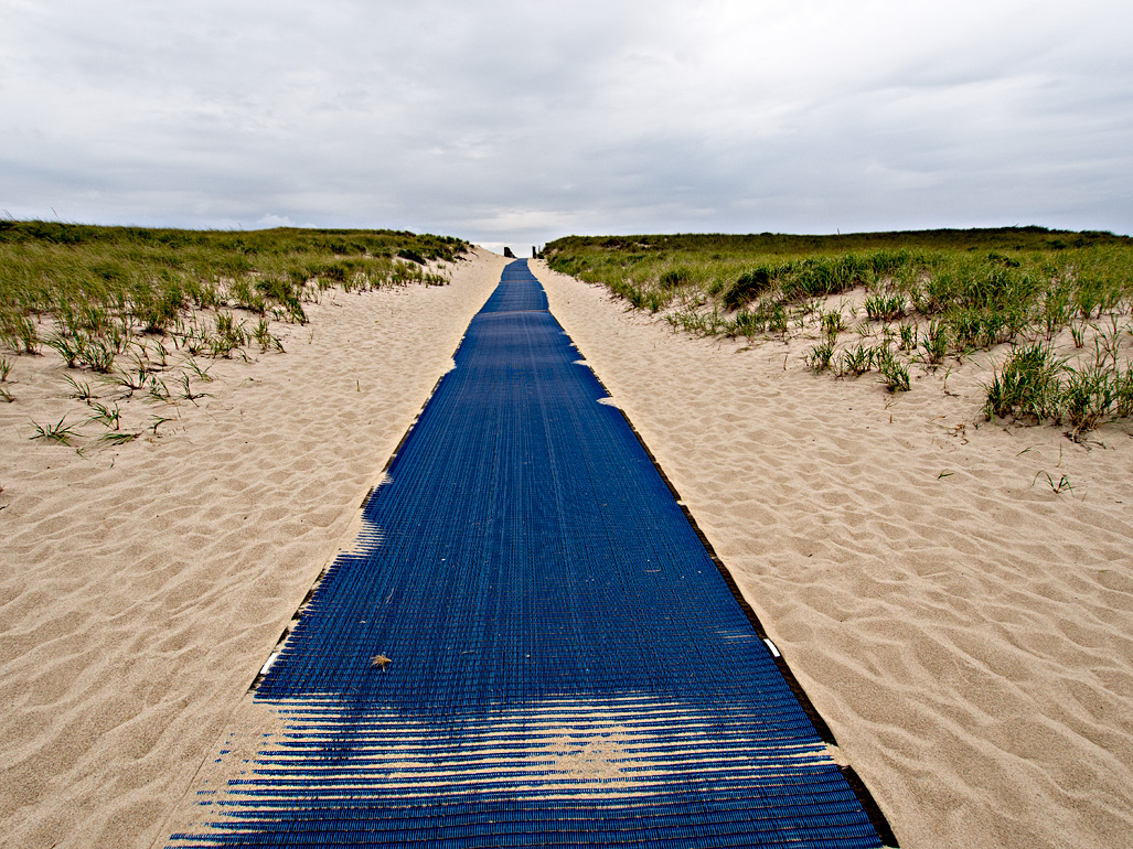 The Blue Carpet