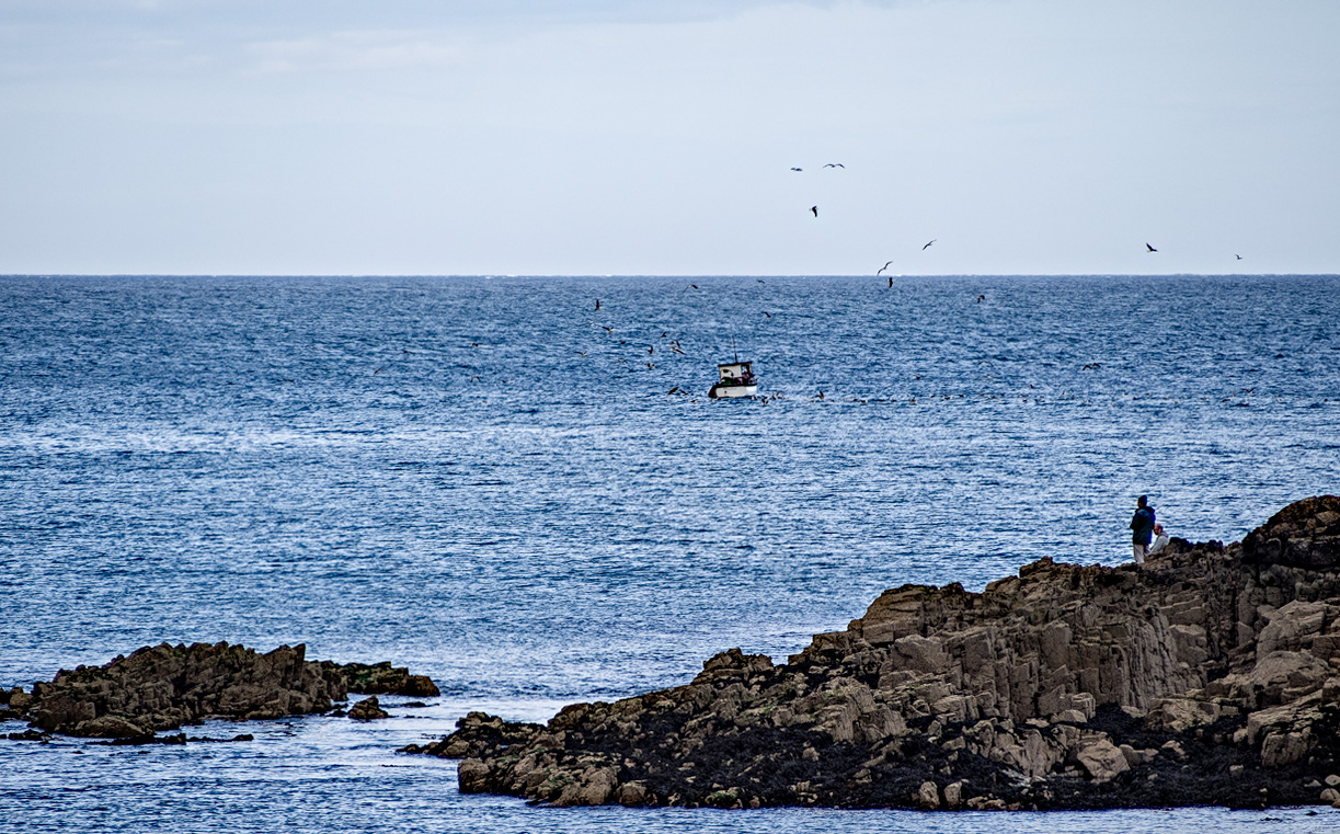 Helvic Head Harbour