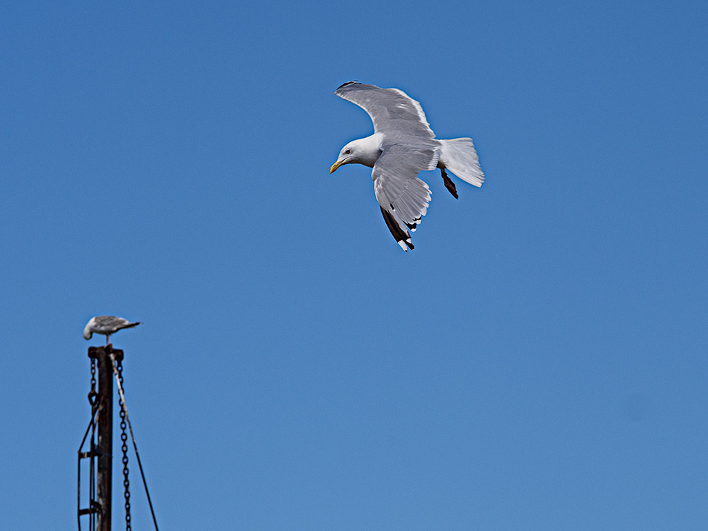 Inflight #2