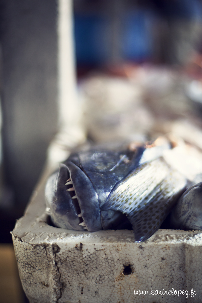 Market Fish Jimbaran