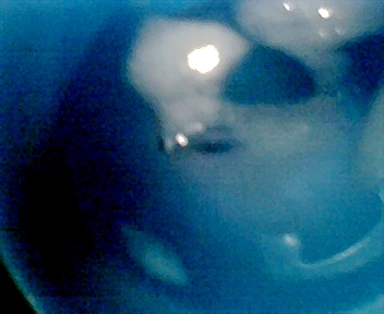 106.jpg