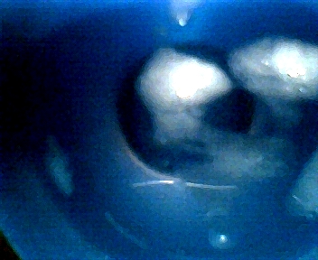 111.jpg