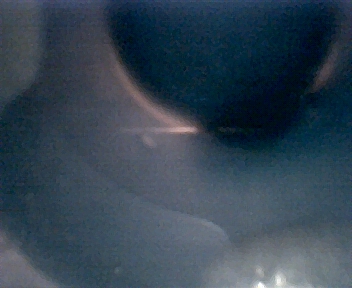 114.jpg