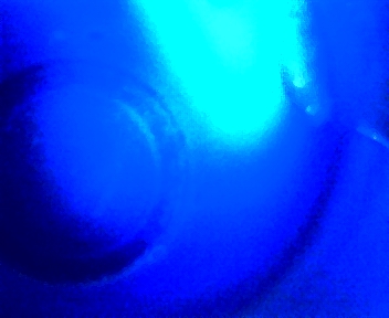 117.jpg