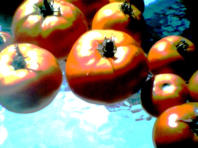 Photo014.jpg