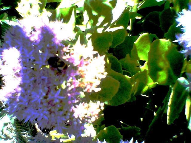 Photo020.jpg