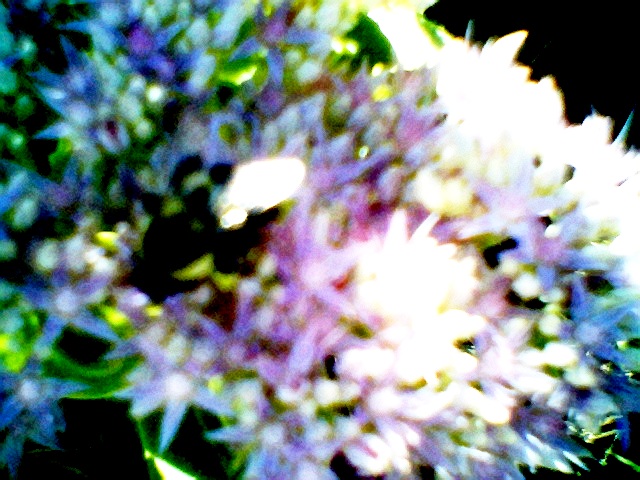 Photo024.jpg