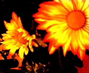 010.jpg