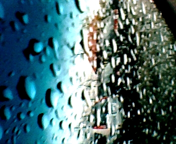 1710.jpg