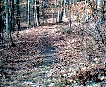 1672.jpg