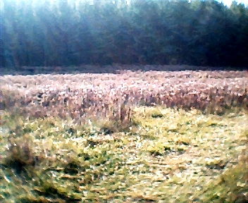 1670.jpg