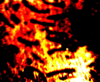 1661.jpg