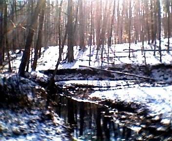 003.jpg