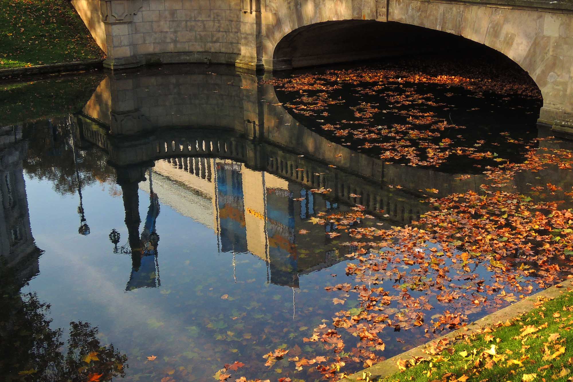 Autumn in Dusseldorf