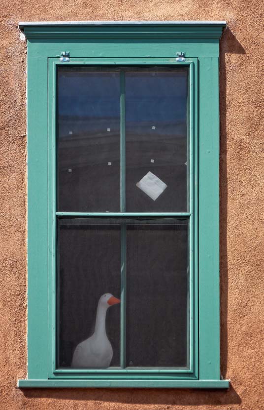 Goose Window