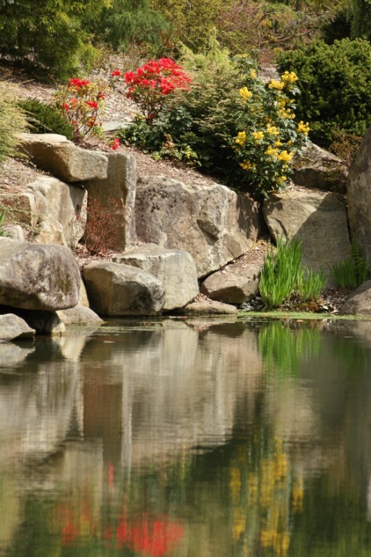 Calm waters and bright colors