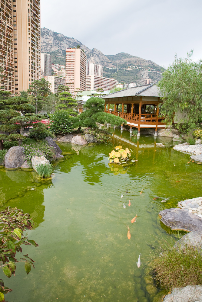 Japanese garden