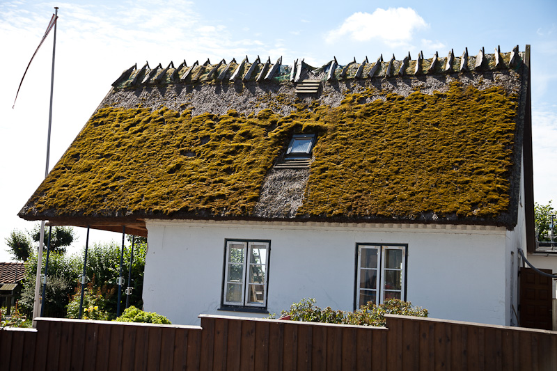 Thatched roof - complete with moss!