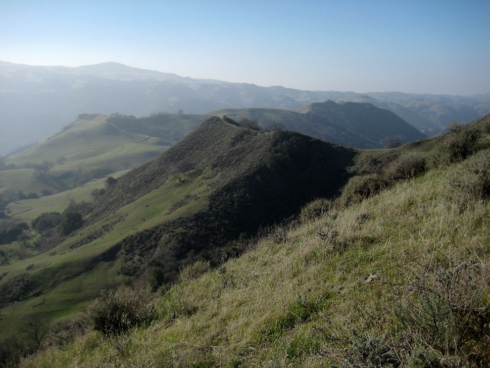 Vista Grande Trail