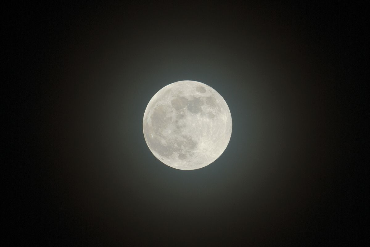 DSC_1506c2.jpg
