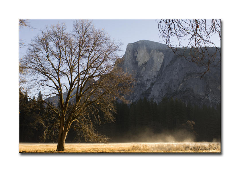 Half Dome from Cooks Meadow