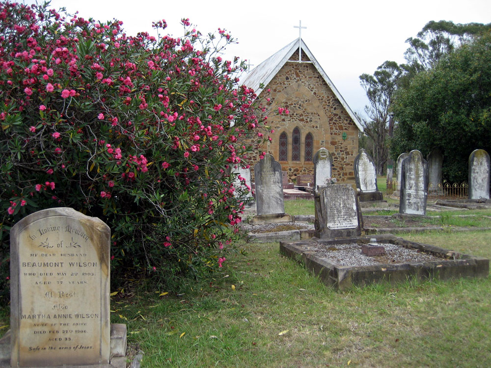 under the spreading Oleander..