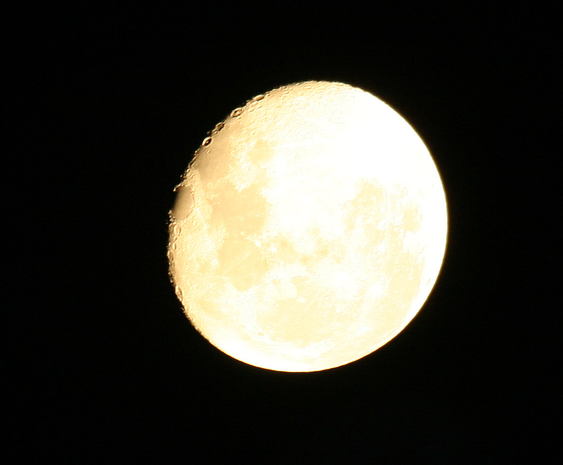 a moonlit neet tneet