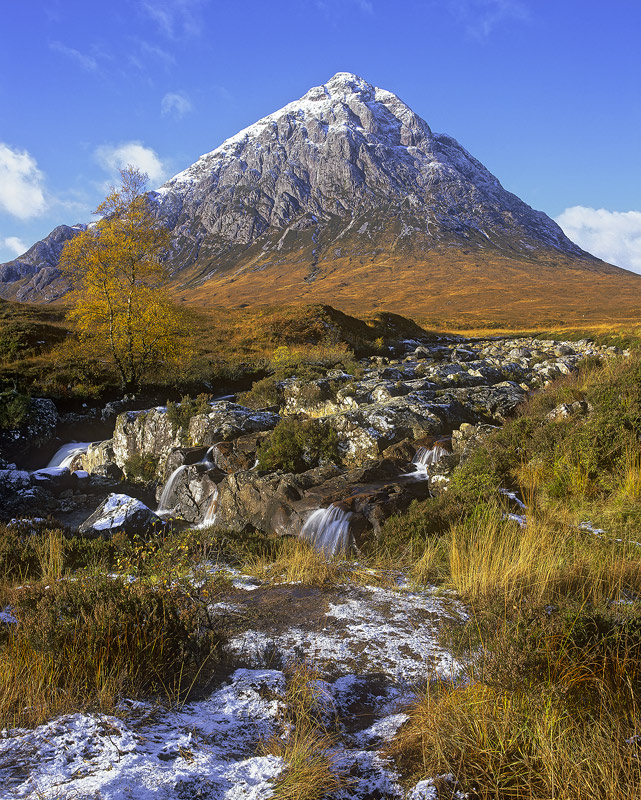 Winter Buchaille