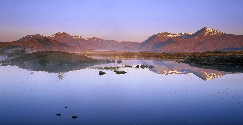 Red Rannoch Reflected